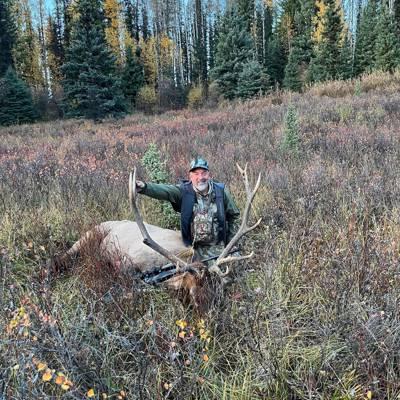 Hunter with a harvested elk in Alberta woodland