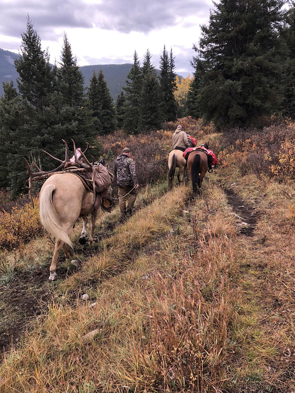 Hunters travelling by horseback through an autumn forest trail