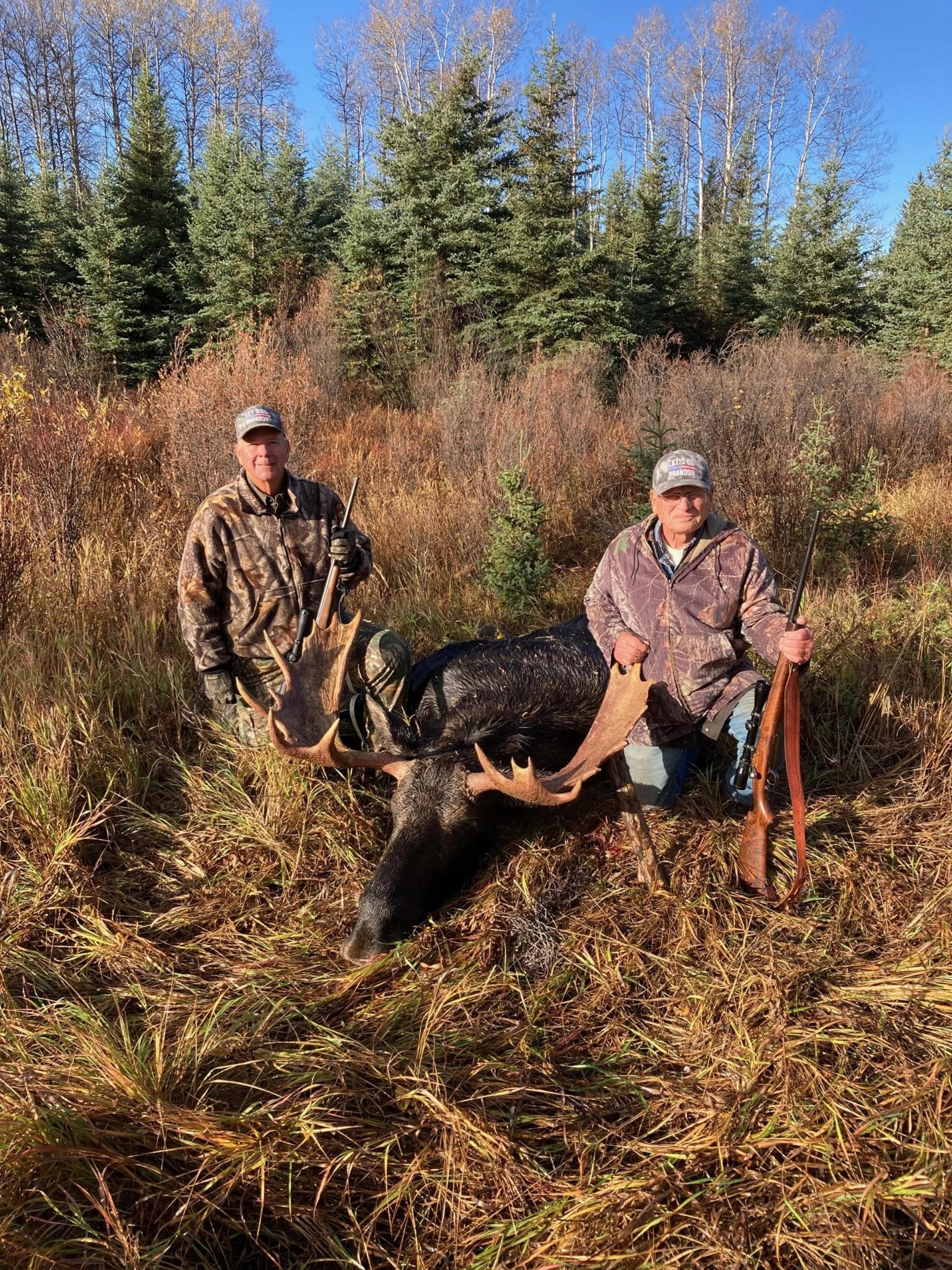 Two hunters with a harvested moose in an autumn clearing