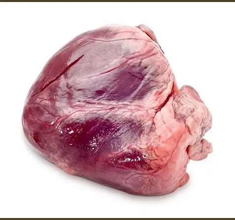 BEEF HEART $5.21lb