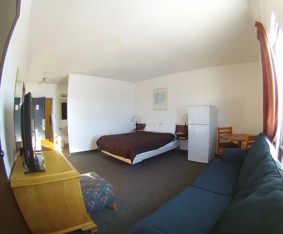 Studio room with bed, sofa, TV, and refrigerator